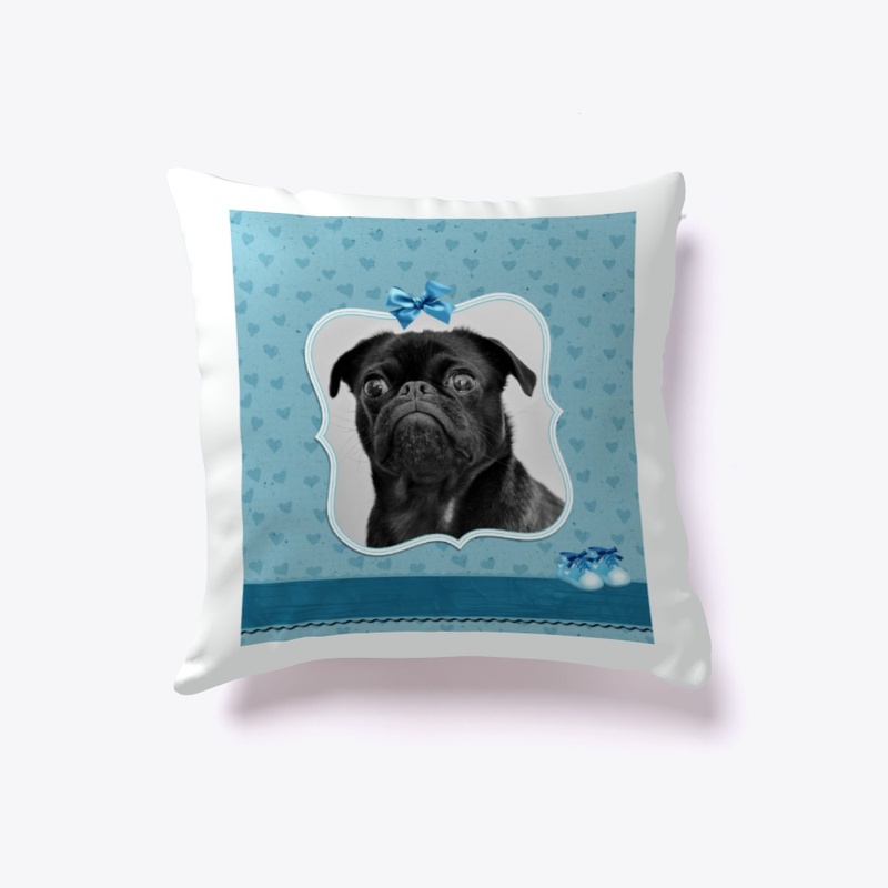 Baby Boy Pug 