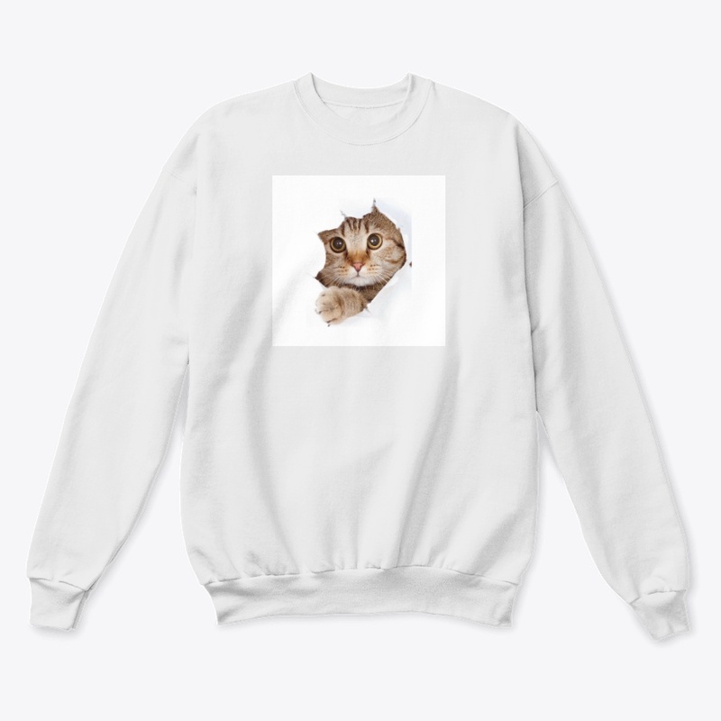 Cat collection 