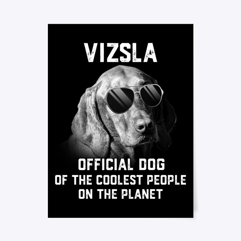 Vizsla, Official Pet Of Coolest People