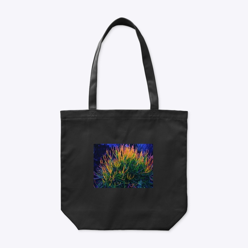 Rainbow Succulent 