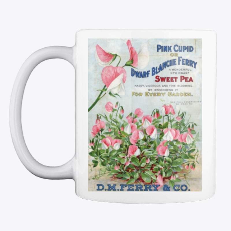 Pink Cupid Sweet Peas 