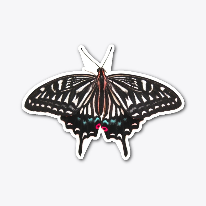 BUTTER FLY