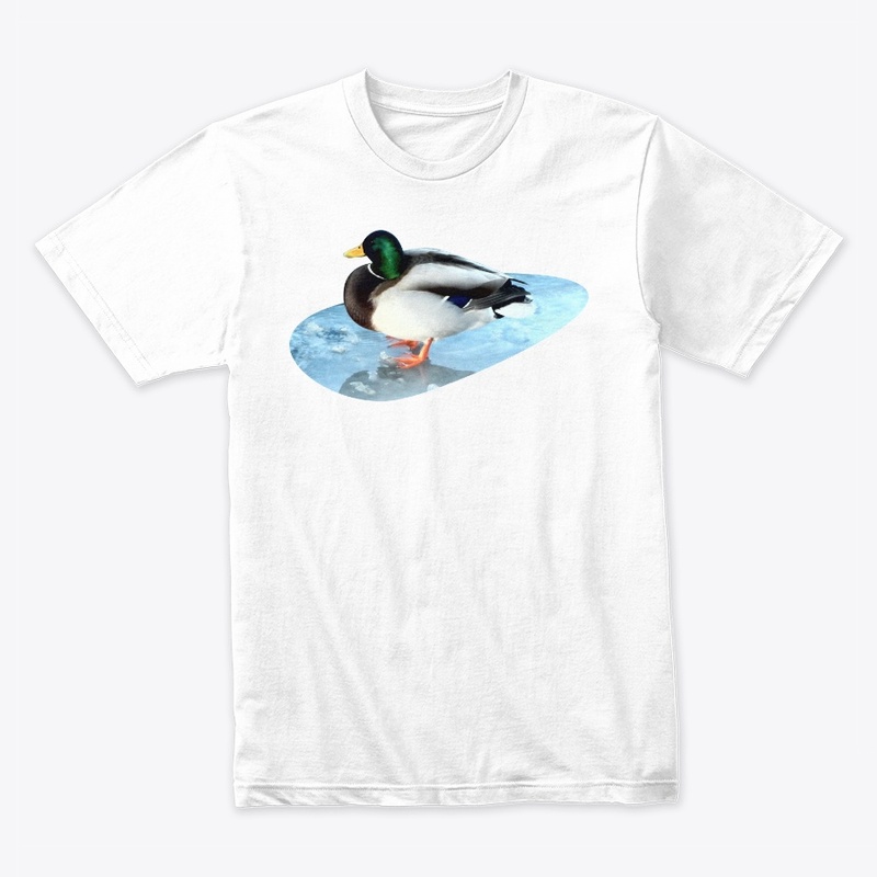 Ducks sit on the ice and swim 