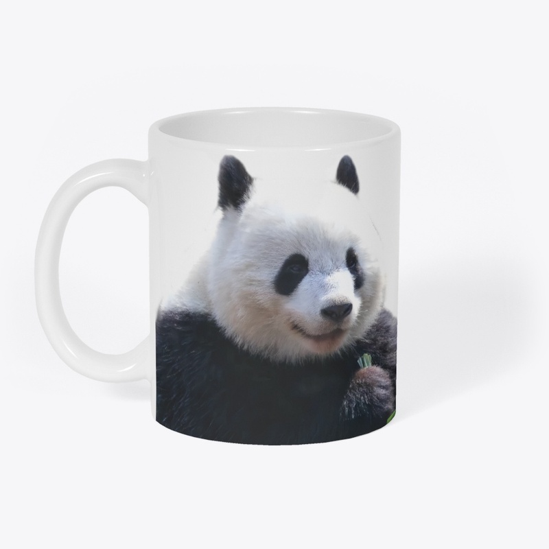 BEICHEN🐼Giant Panda