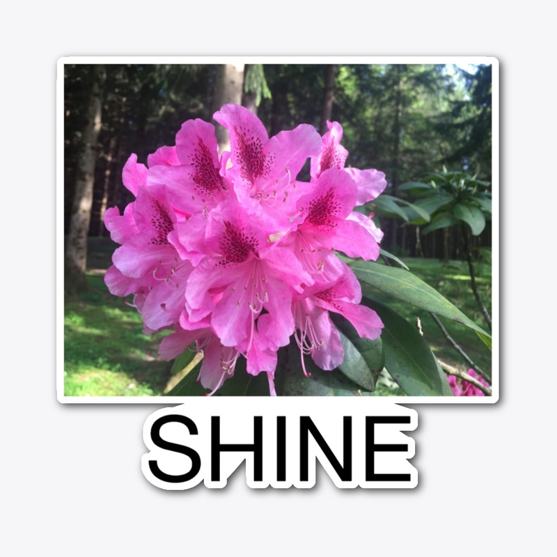 SHINE
