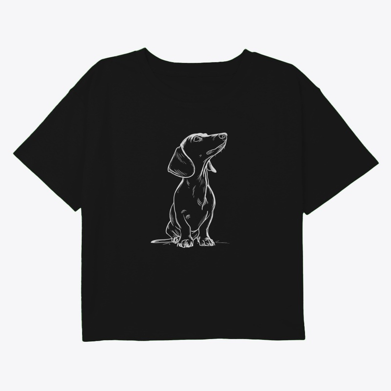 Minimal Dachshund Doodle