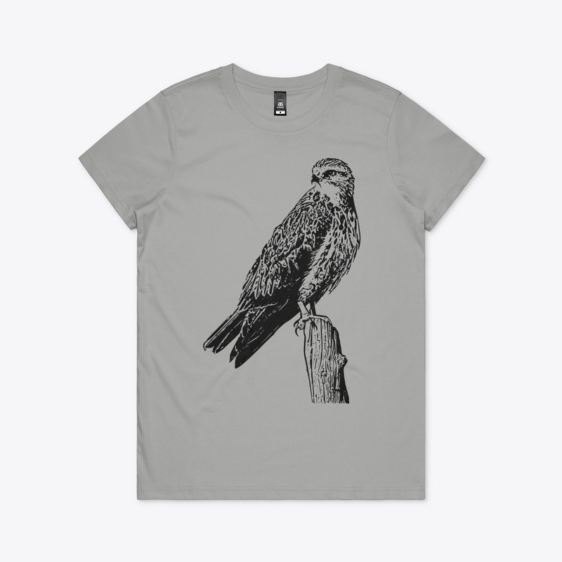 Birdwatching- Swainson's Hawk