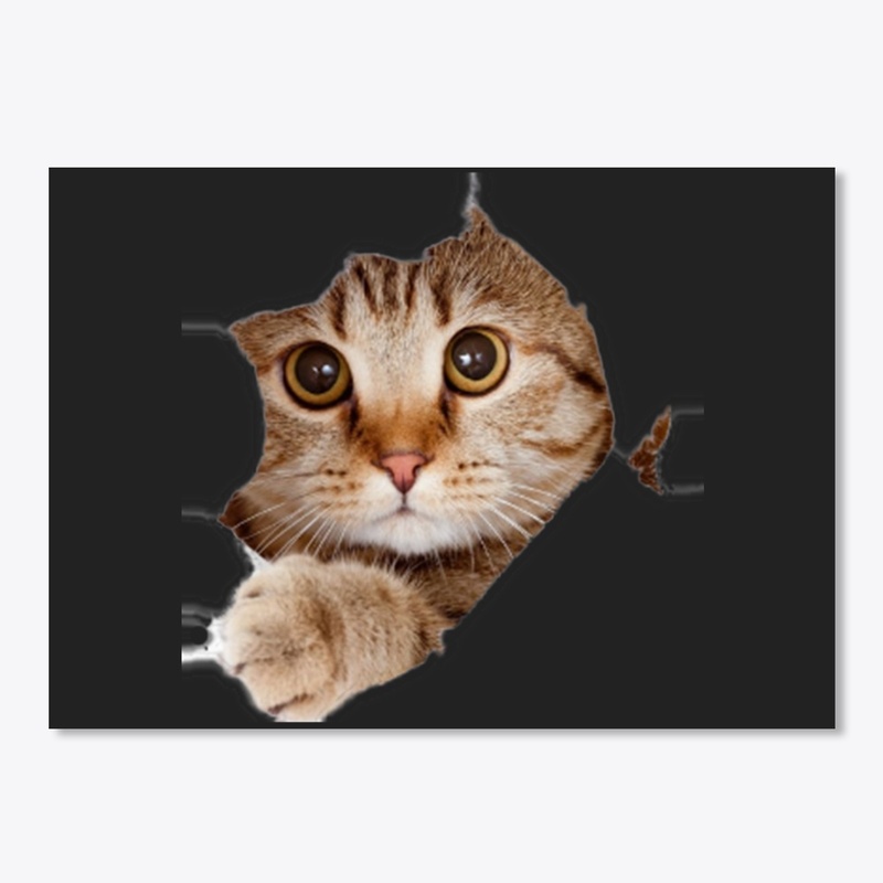 Cat Sticker