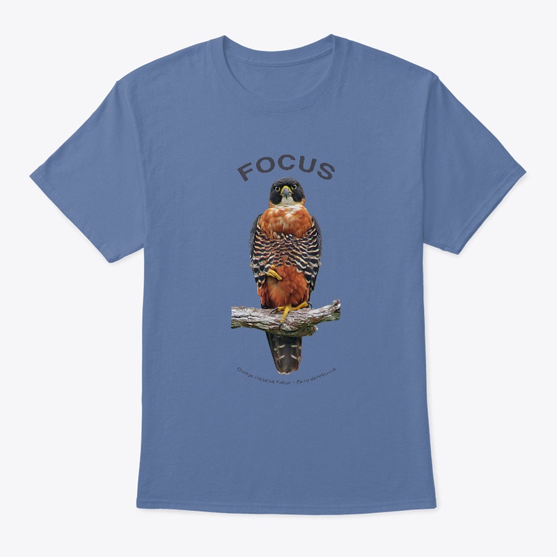 Focus: Orange-breasted Falcon