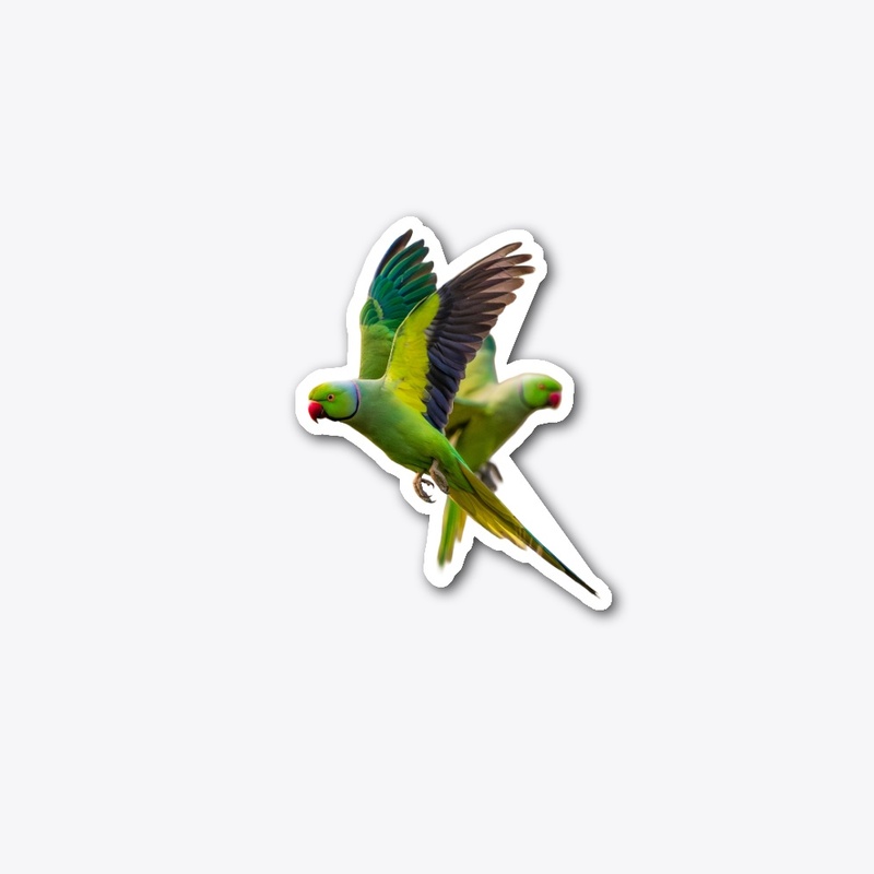 Parrots T-shirt