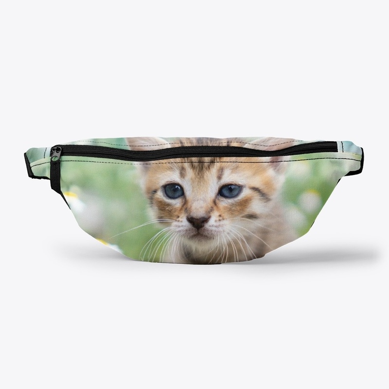 Cat (Grass Field Wood Aster Kitten)