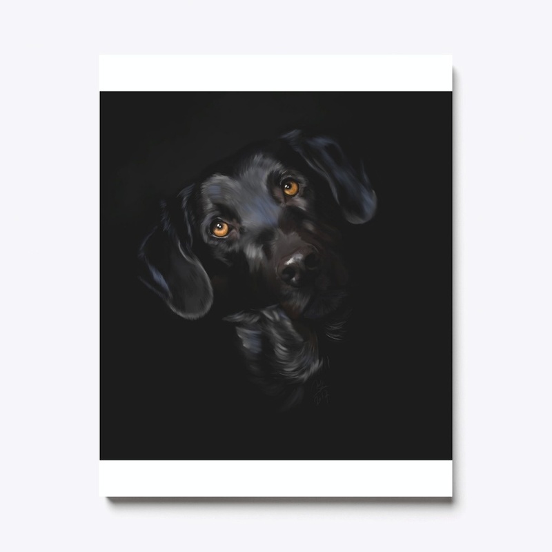 black lab 