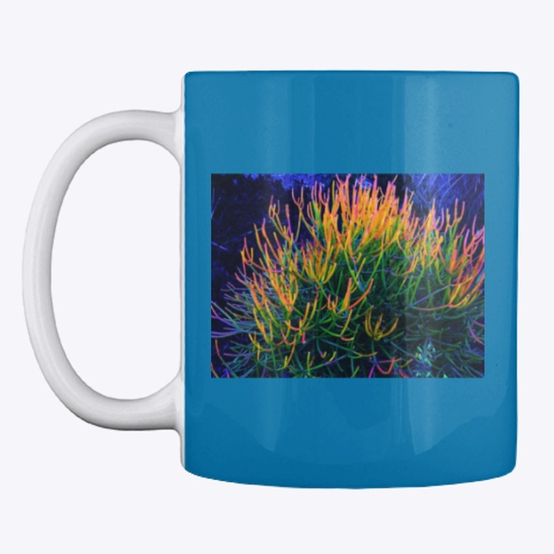 Rainbow Succulent 