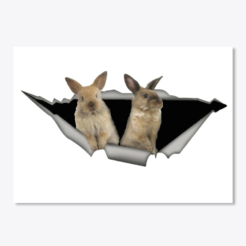 Rabbit car decal