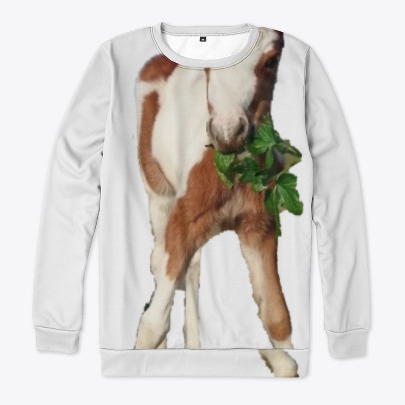 Raisin the Skewbald Pony