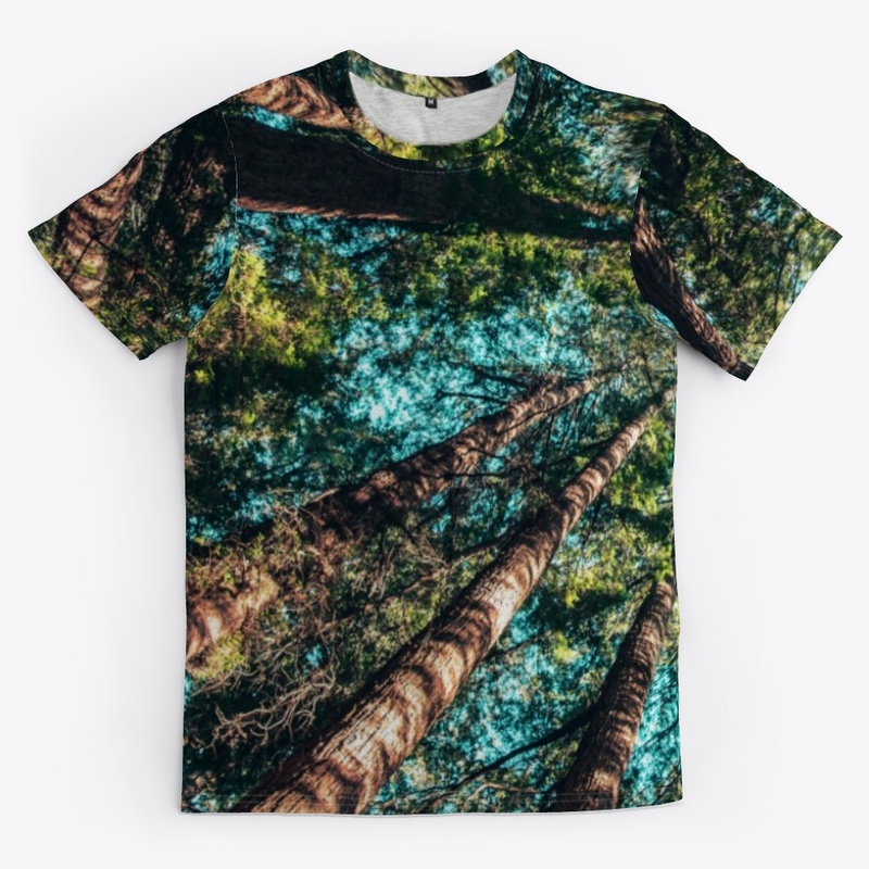 Trees in the forest