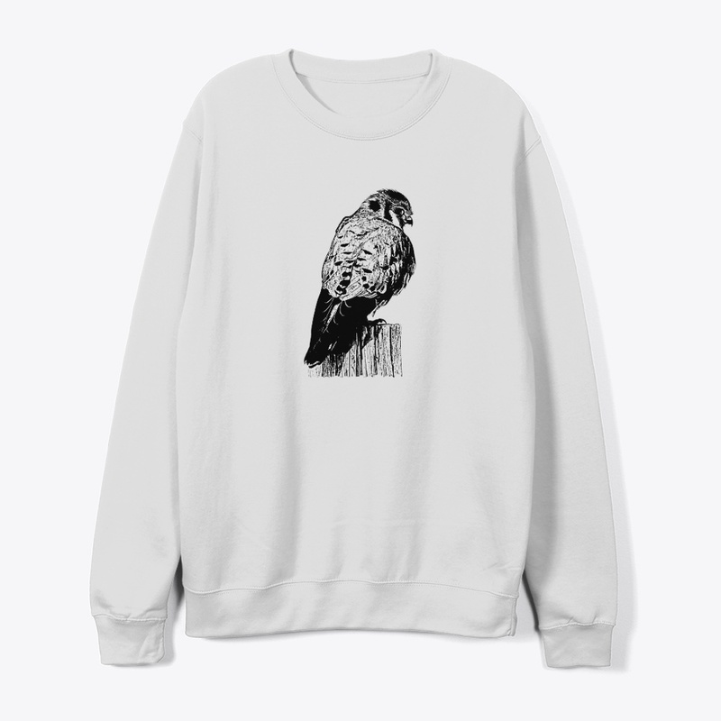 American Kestrel Birdwatching