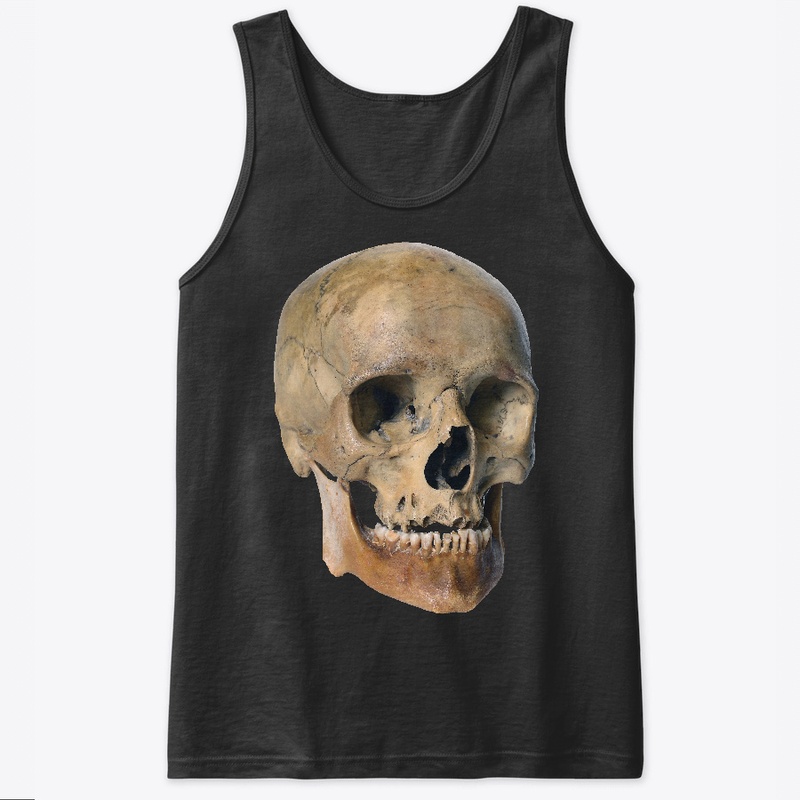 Old Weathered Skull