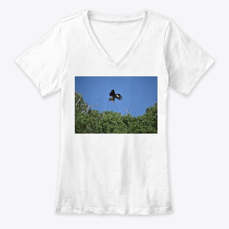 Eagle in Tree