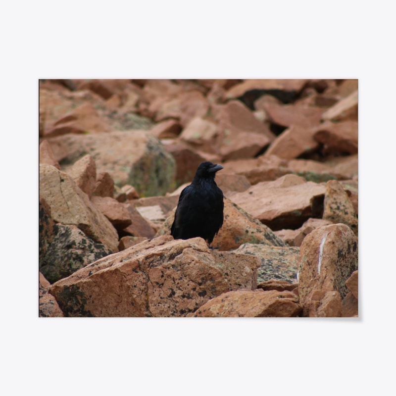 Raven 1