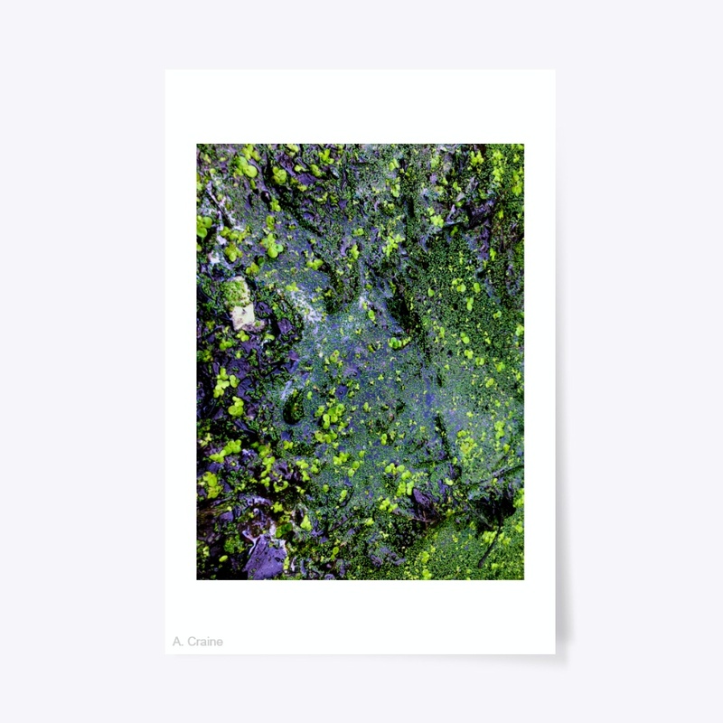 Primordial Ooze