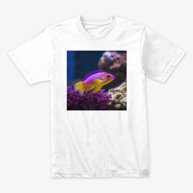 fish my love