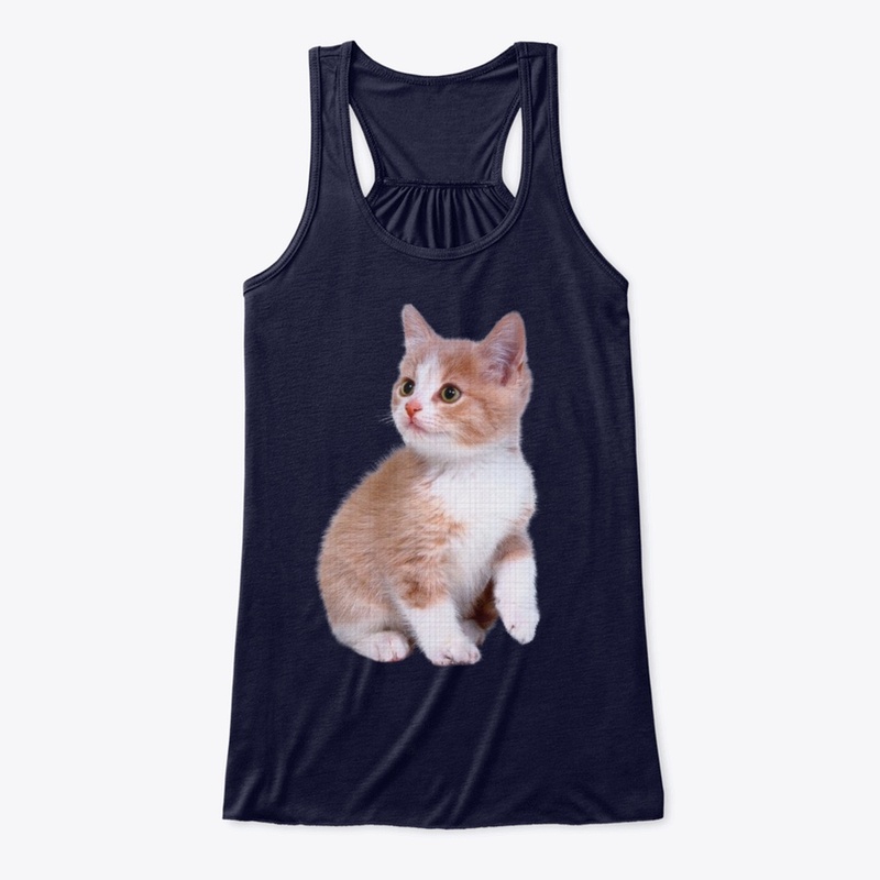 FUNNY SHOCKED CAT