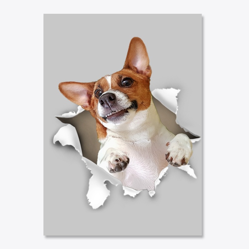 Jack Russell Terrier Torn Paper