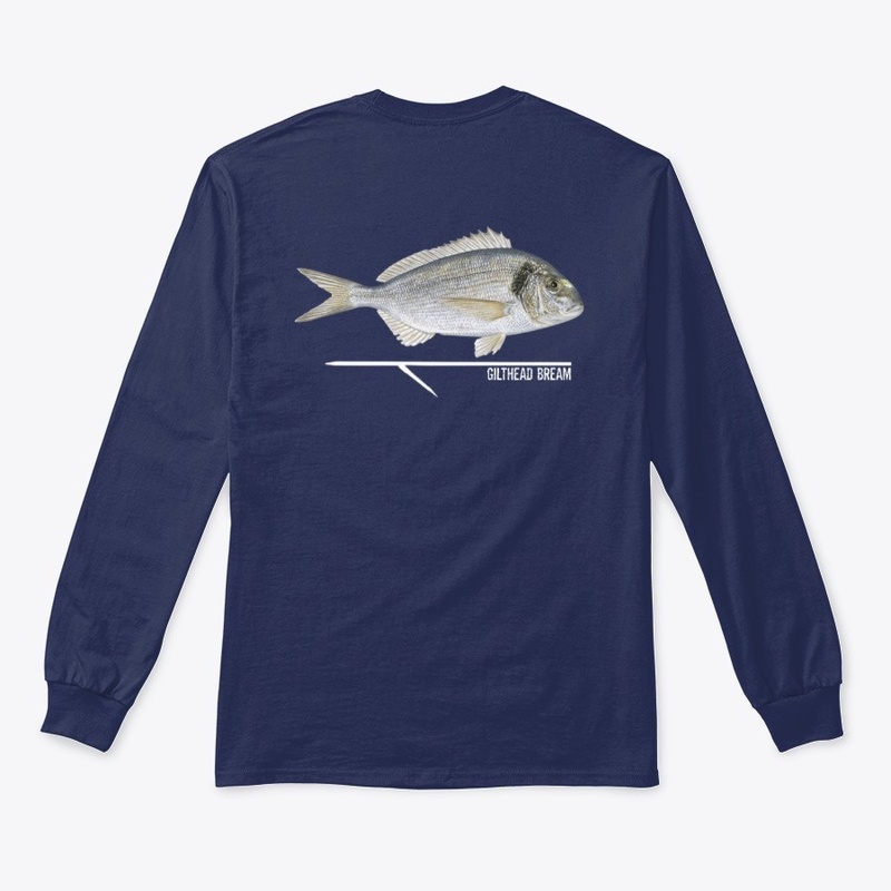 Gilthead Bream