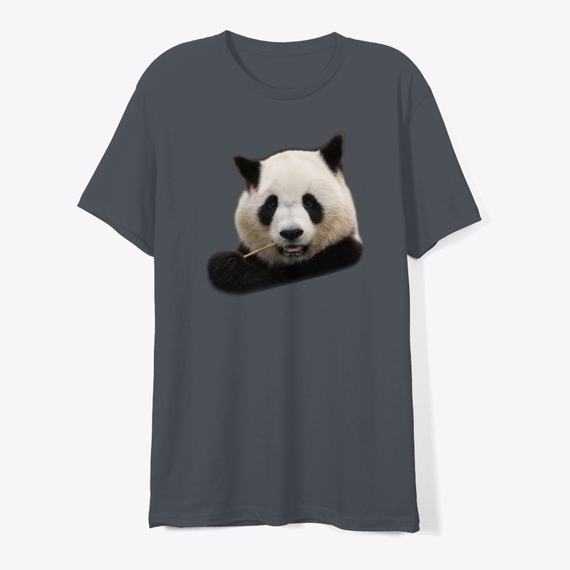 Giant panda 