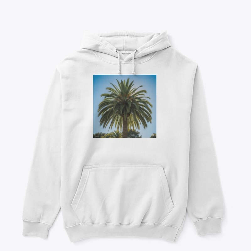 Palm tree 