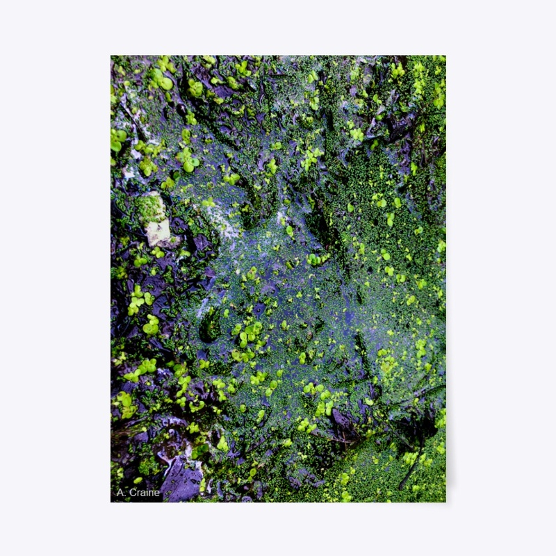 Primordial Ooze