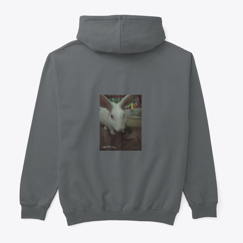 rabbit hoodie
