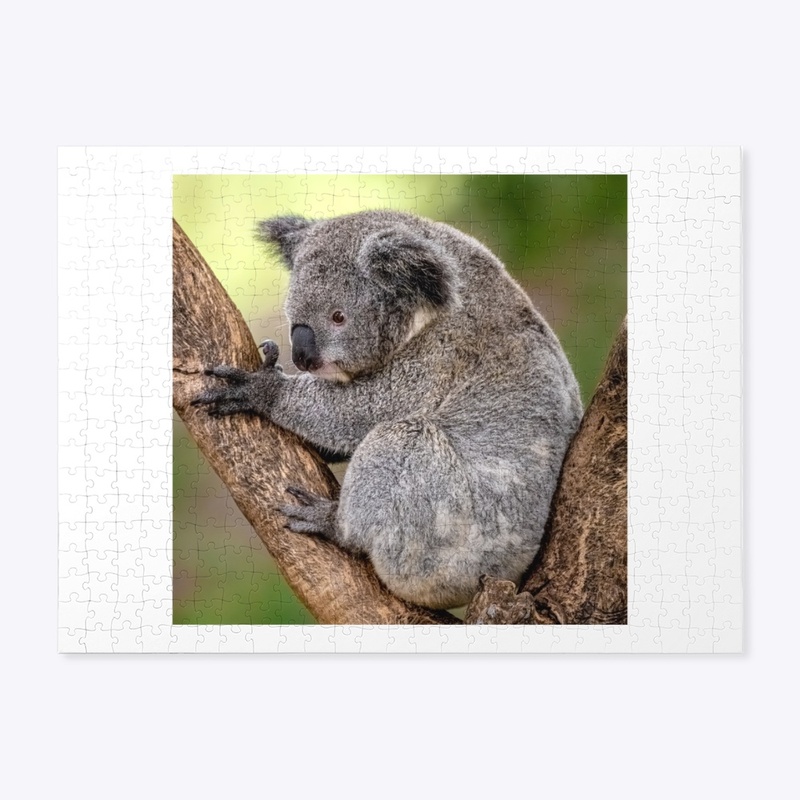 Coala