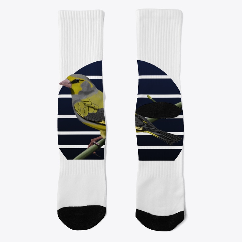 jz.birds Greenfinch Bird Animal Art