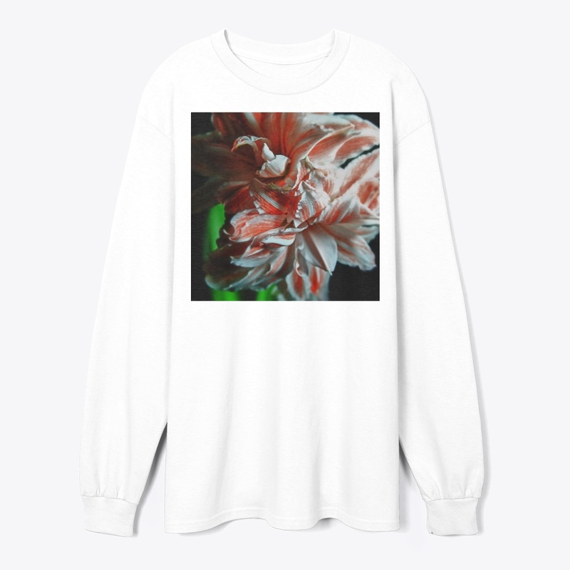 Amaryllis Portrait