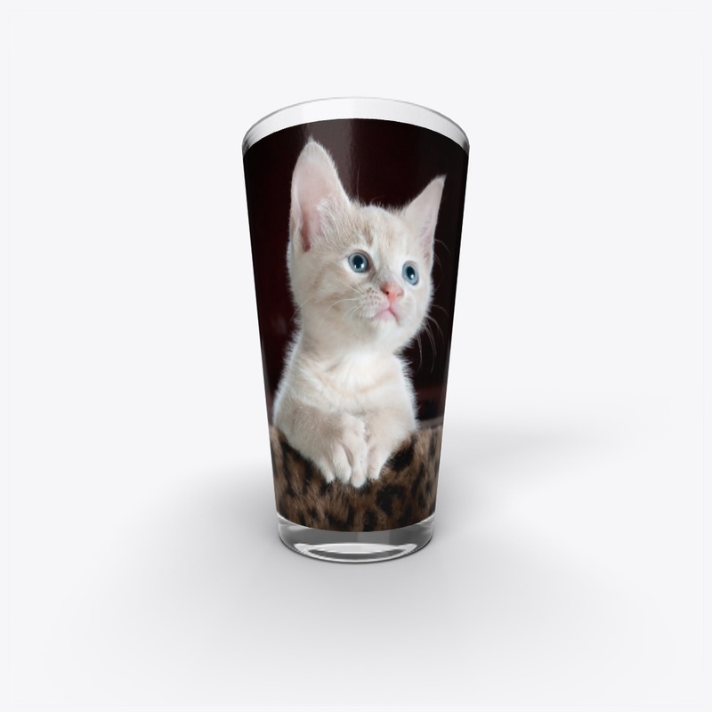 Funny cat printed products