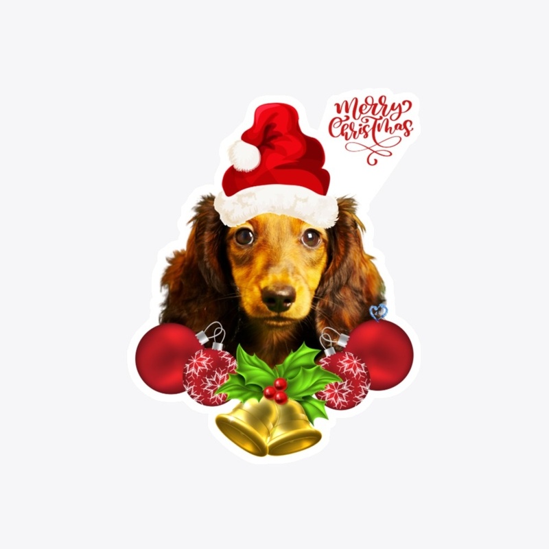 Dachies Red Santa Hat #3 n Series