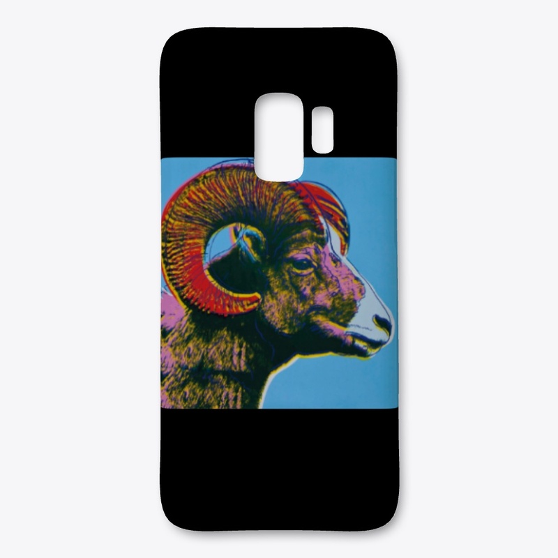 Everyday Ecofriendly Hoodie & Things