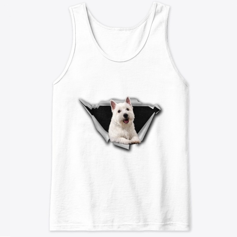 West Highland White Terrier - Torn