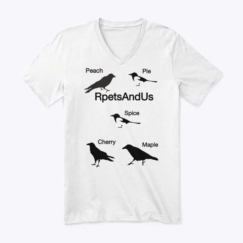 Corvids design birds crows magpies