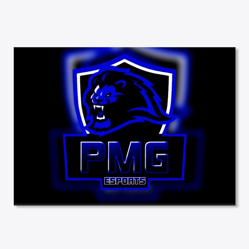 PMG eSports Products