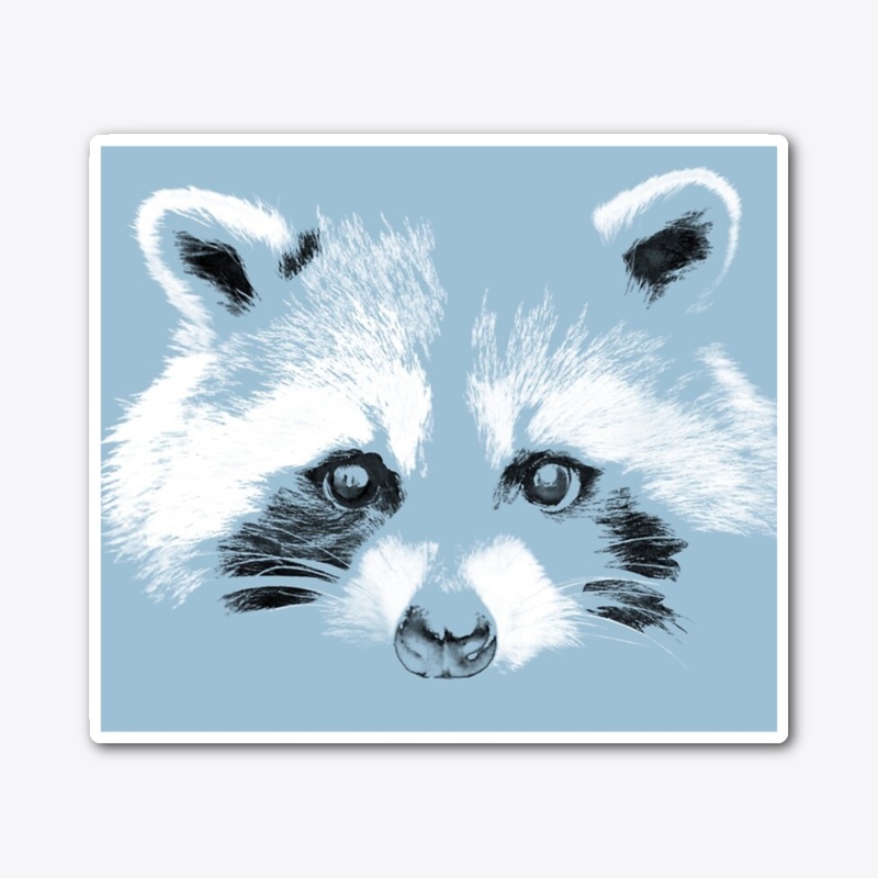 Raccoon Baby