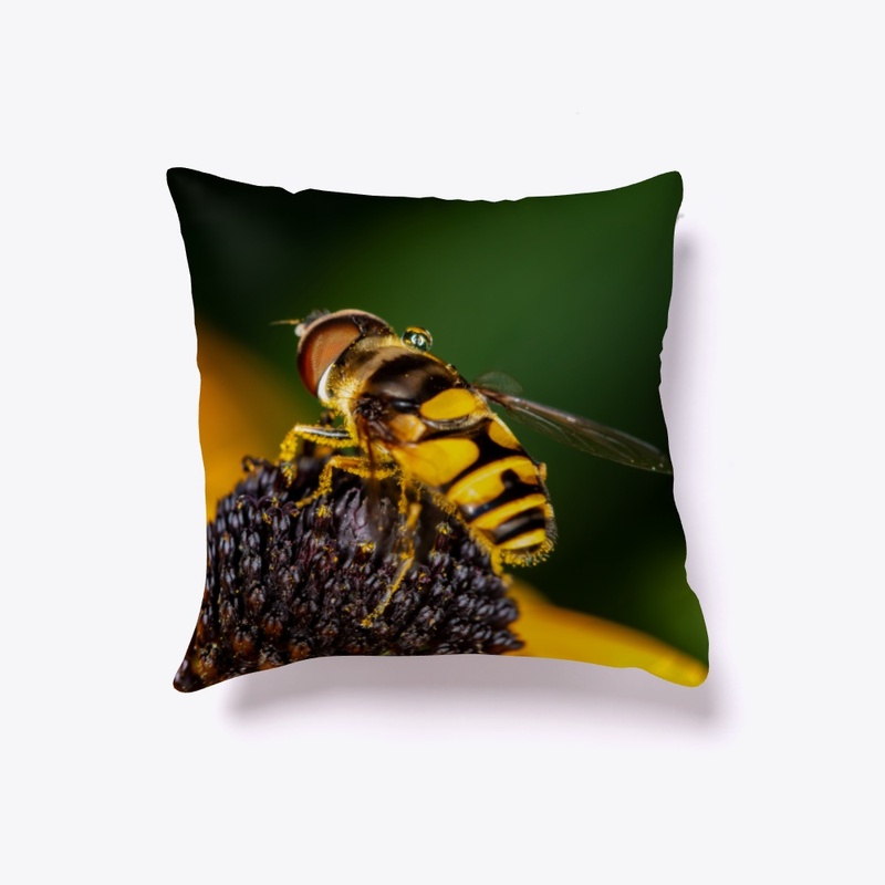 Hover Fly on Flower
