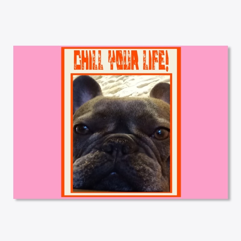 cute puppy dog 
