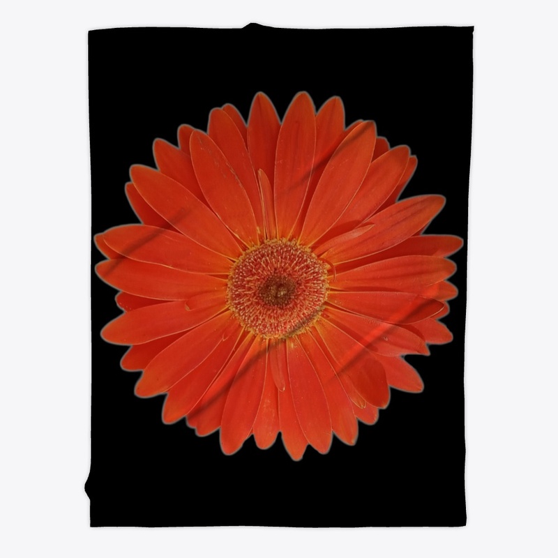 Vibrant Orange Gerbera