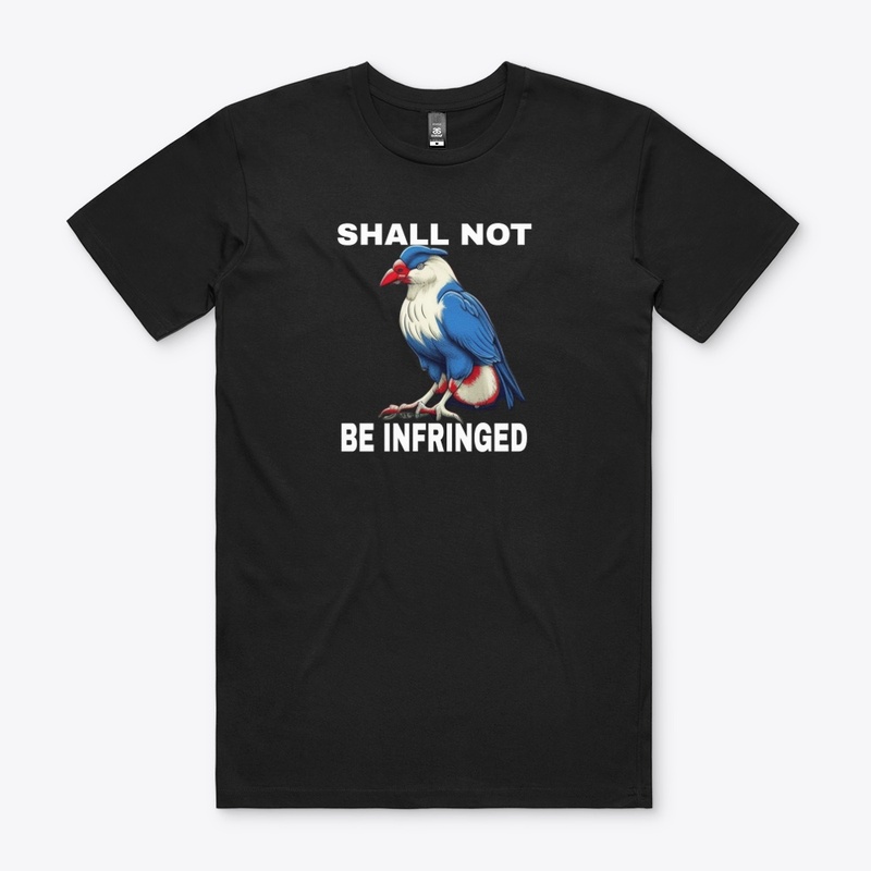 SHALL NOT BE INFRINGED