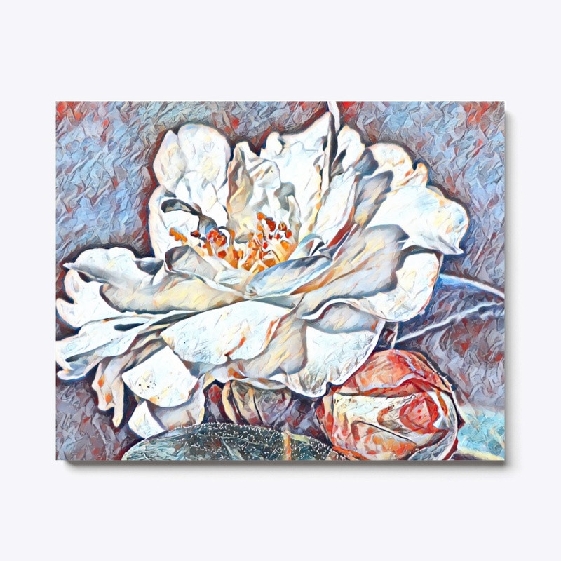 Rosa Bloom