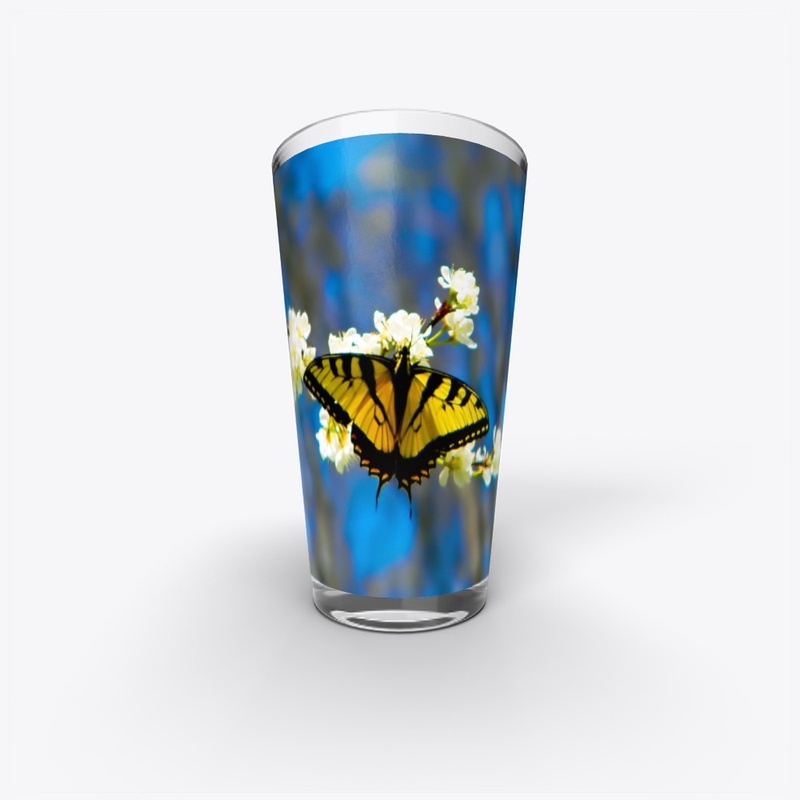 Beautiful Black and Yellow Butterfly