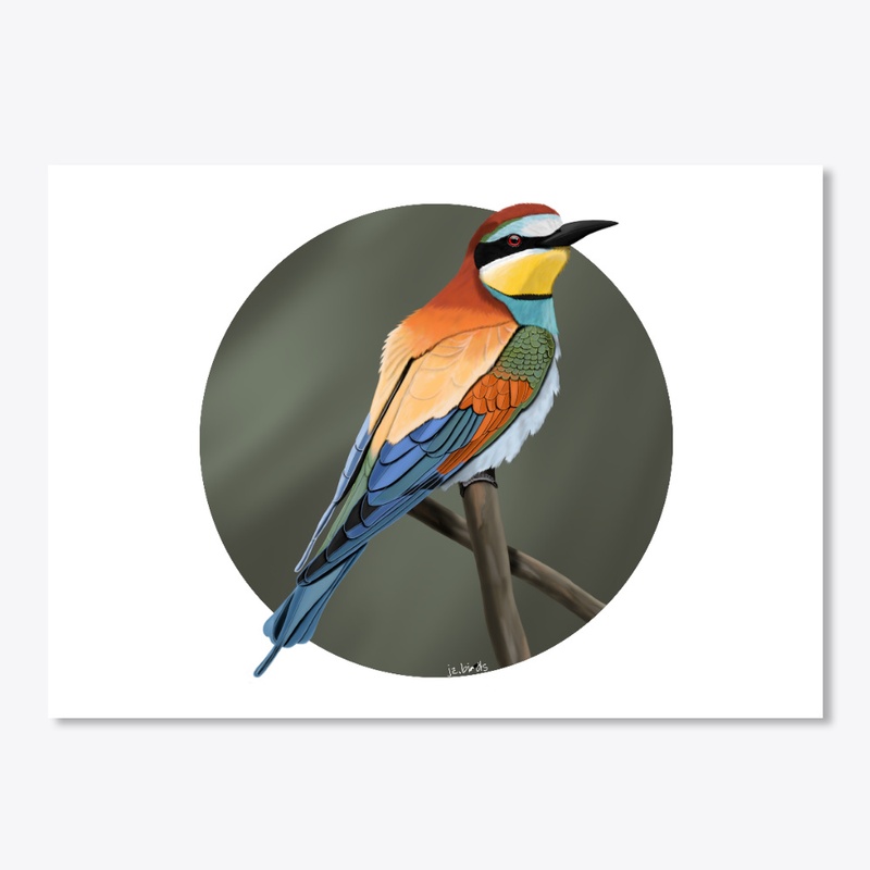 jz.birds Bee-Eater Bird Illustration